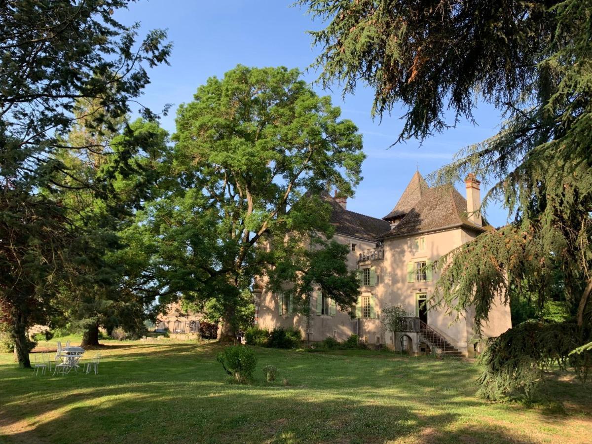 Château du Mauny, gîtes et chambres d'hôtes en Bourgogne Rosey Exterior foto