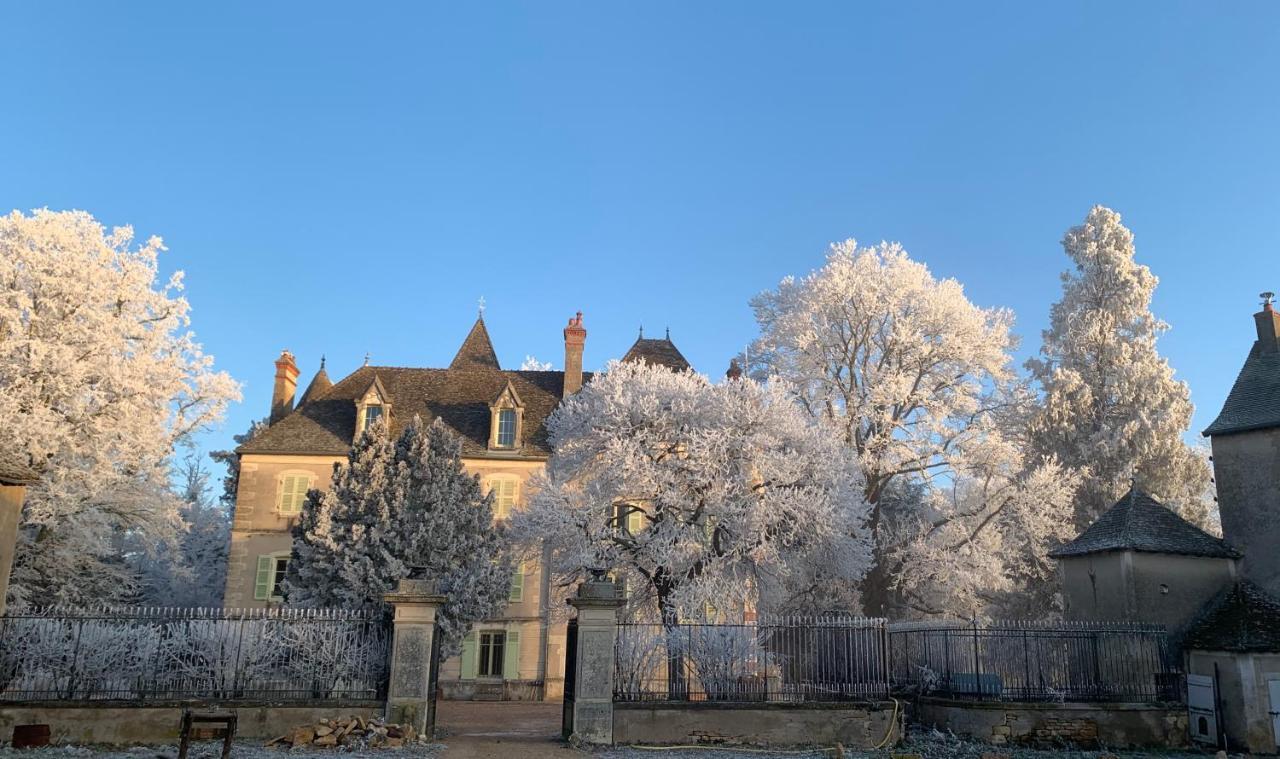 Château du Mauny, gîtes et chambres d'hôtes en Bourgogne Rosey Exterior foto
