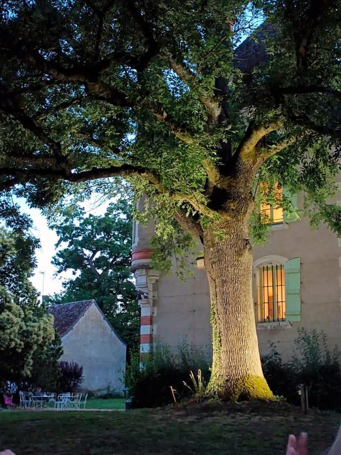 Château du Mauny, gîtes et chambres d'hôtes en Bourgogne Rosey Exterior foto